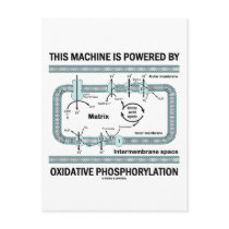 This Machine Powered By Oxidative Phosphorylation Post Card