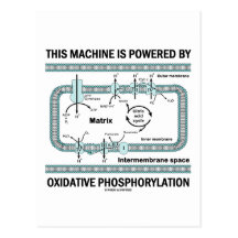 This Machine Powered By Oxidative Phosphorylation Post Card