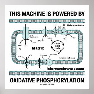This Machine Powered By Oxidative Phosphorylation Posters
