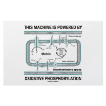 This Machine Powered By Oxidative Phosphorylation Stationery Paper