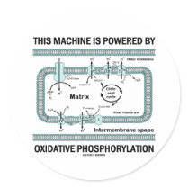 This Machine Powered By Oxidative Phosphorylation Sticker