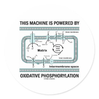 This Machine Powered By Oxidative Phosphorylation sticker