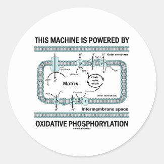 This Machine Powered By Oxidative Phosphorylation Round Stickers