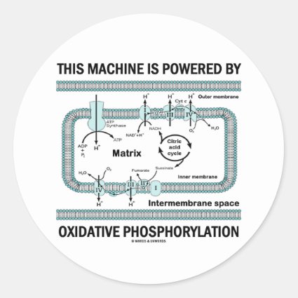 This Machine Powered By Oxidative Phosphorylation Sticker