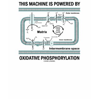 This Machine Powered By Oxidative Phosphorylation shirt