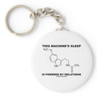 This Machine's Sleep Is Powered By Melatonin keychain