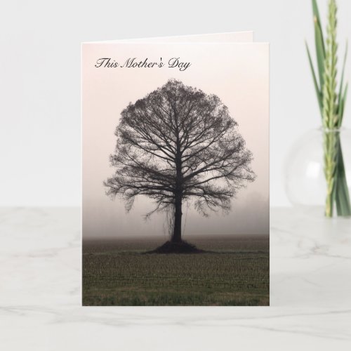 This Mother's Day Greeting Cards