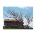 This Old Barn Postcard