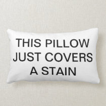 This Pillow Just Covers a Stain