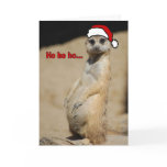 This Pregnant Meerkat Santa Momma cards