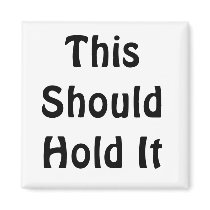 This Should Hold It MAGNET magnets
