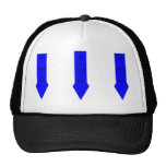 This Side Up Mesh Hats