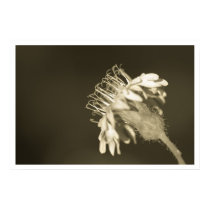 this way posters by blacqbook this way posters