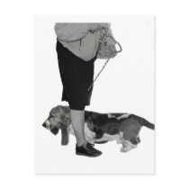 This Way-That Way postcards