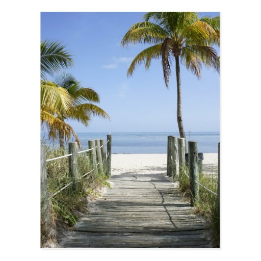 This way to Paradise Postcard Zazzle