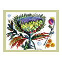 Thistle42 Drawing posters