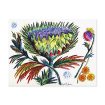 Thistle 42 postcard
