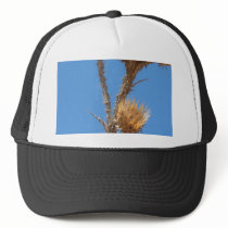 Thistle Against Blue Sky hats