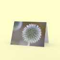 Thistle Blank Note Card