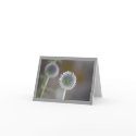 Thistle Blank Note Card by pulsDesign Thistle Blank Note Card