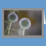 Thistle Blank Note Card cards