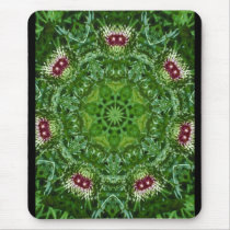 Thistle Buds mousepads