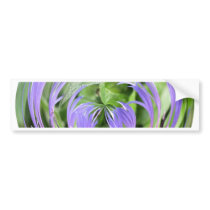 Thistle Bumper Sticker bumper stickers