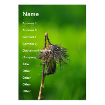 Thistle Business Card Template