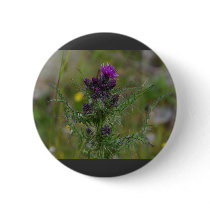 Thistle buttons