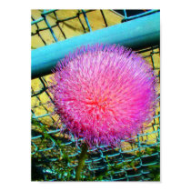 thistle canvas print