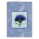 thistle card by klocke thistle card