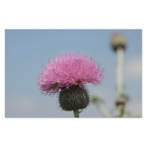 Thistle Flower Stationery