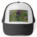 Thistle hats