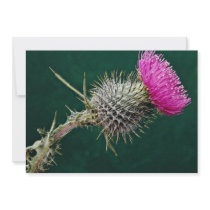 Thistle head  flowers personalized invitations
