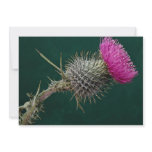 Thistle head pink flower personalized invites