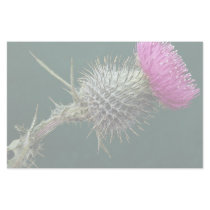 Thistle head customized stationery