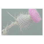 Thistle head customized stationery