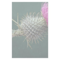 Thistle head personalized stationery