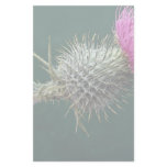 Thistle head personalized stationery