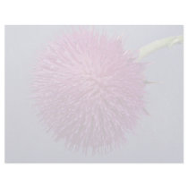 Thistle in bloom letterhead design