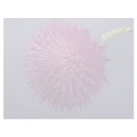 Thistle in bloom letterhead design