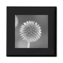 Thistle Magnet