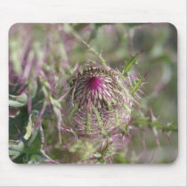 Thistle mousepads