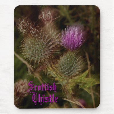 Thistle Mousepad by matthewgemmell