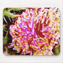 Thistle mousepads