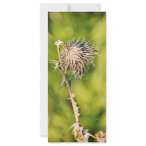 Thistle Personalized Rack Card