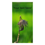 Thistle Custom Photo Card