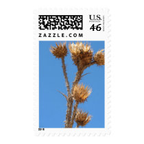 Thistle postage