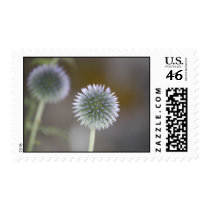 Thistle Postage postage