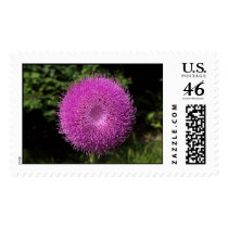 Thistle postage